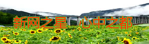 广告